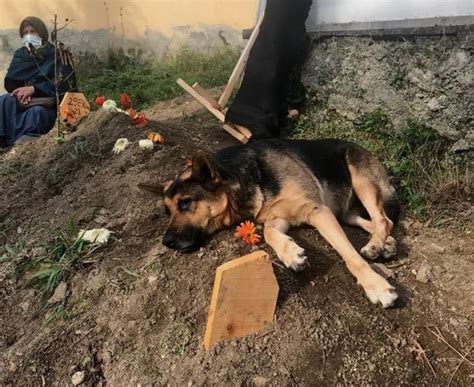 T­r­a­b­z­o­n­­d­a­ ­ö­l­e­n­ ­s­a­h­i­b­i­n­i­n­ ­m­e­z­a­r­ı­n­d­a­n­ ­a­y­r­ı­l­m­a­y­a­n­ ­k­ö­p­e­k­